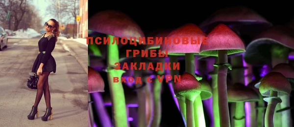 винт Алексеевка