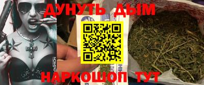 гидропоника Кингисепп