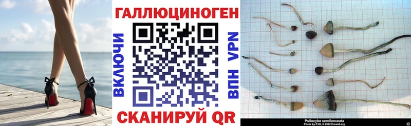 Галлюциногенные грибы GOLDEN TEACHER  даркнет сайт  blacksprut онион  Котельники 