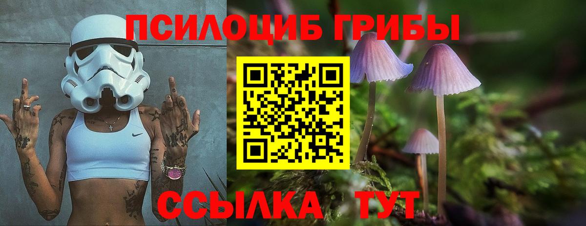 Галлюциногенные грибы MAGIC MUSHROOMS  Вход с VPN  Котельники 
