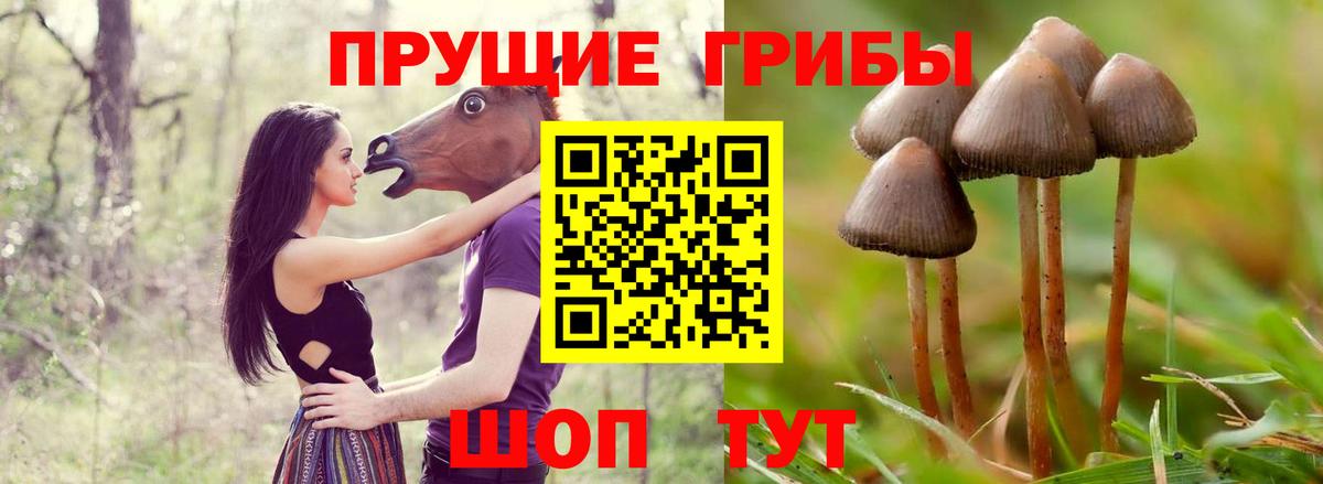 Галлюциногенные грибы мицелий Котельники